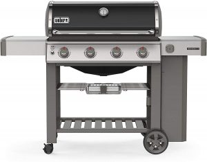 Weber 62011001 Genesis II